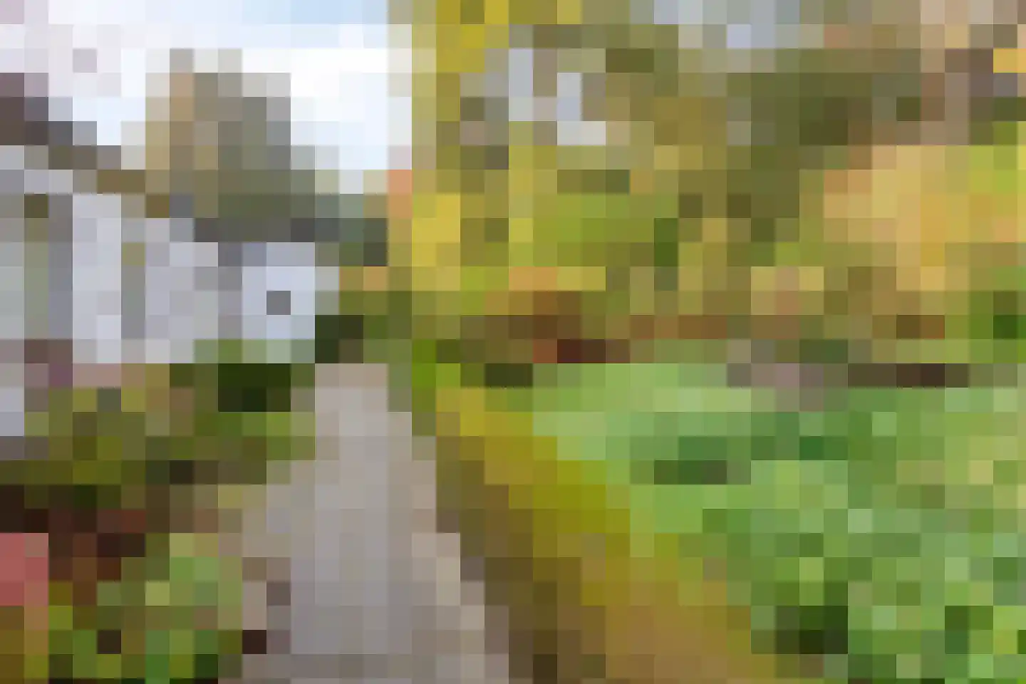 Groteweg 37 Wapenveld thumbnail 35