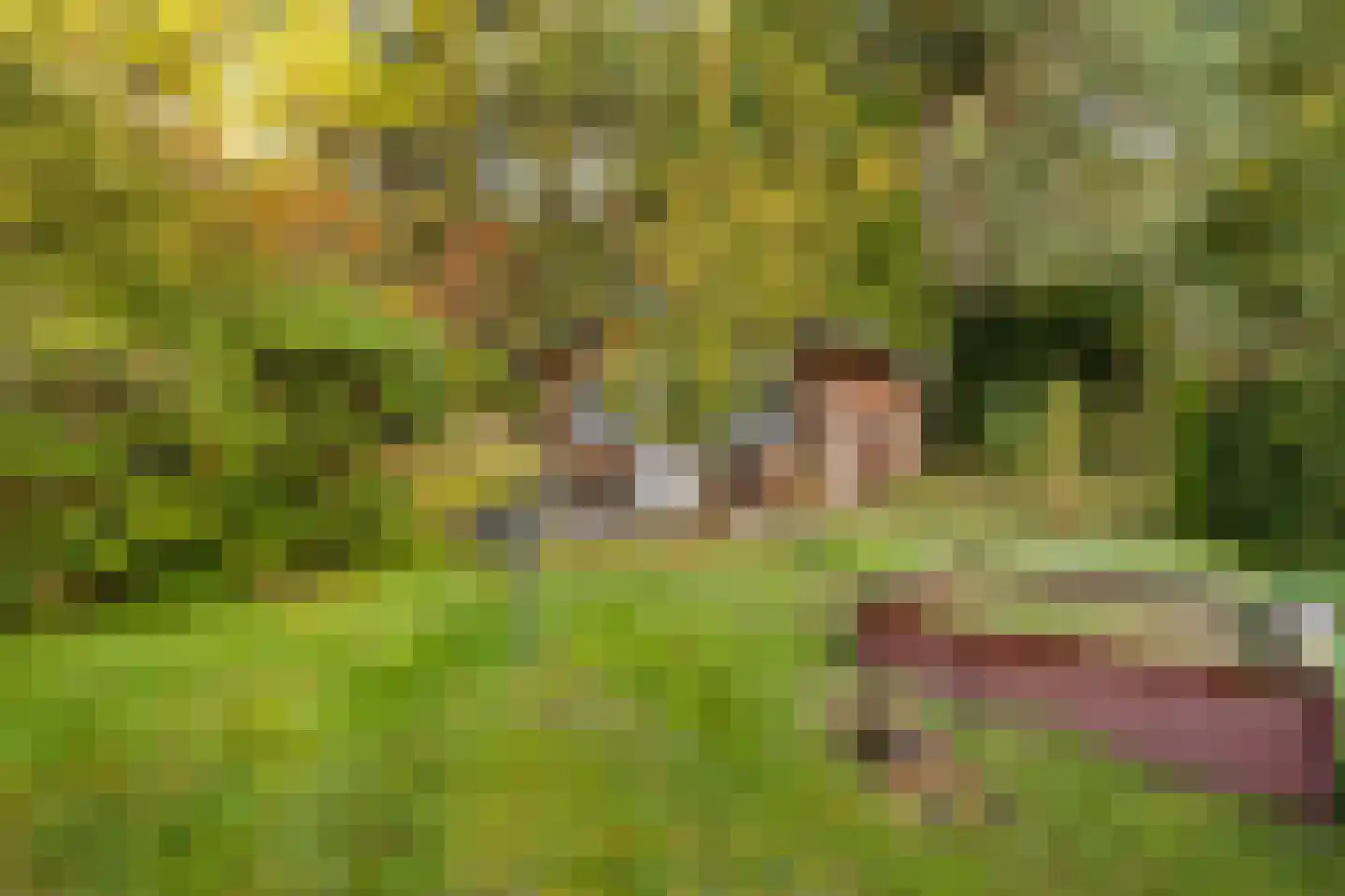 Groteweg 37 Wapenveld thumbnail 38