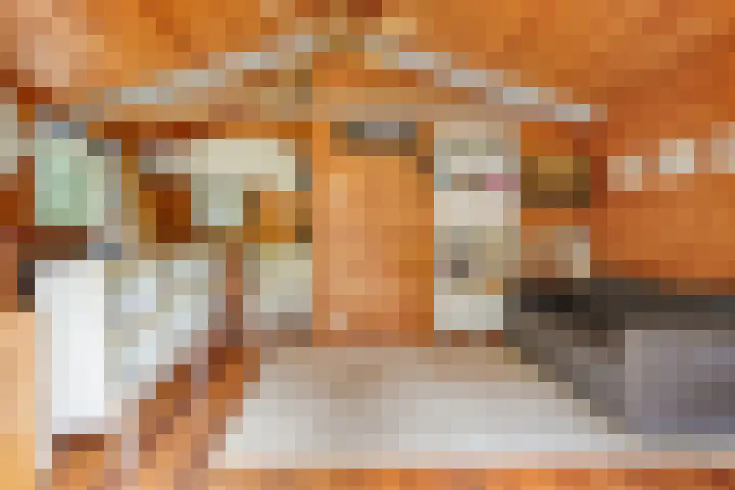 Groteweg 37 Wapenveld thumbnail 39