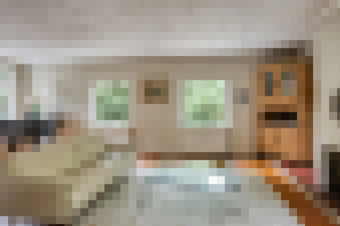 Groteweg 37 Wapenveld thumbnail 4