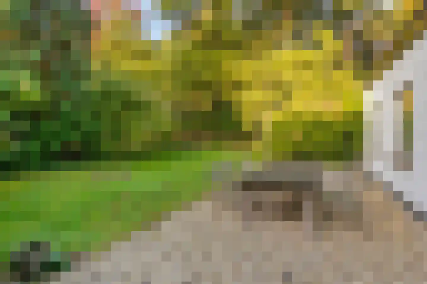Groteweg 37 Wapenveld thumbnail 42