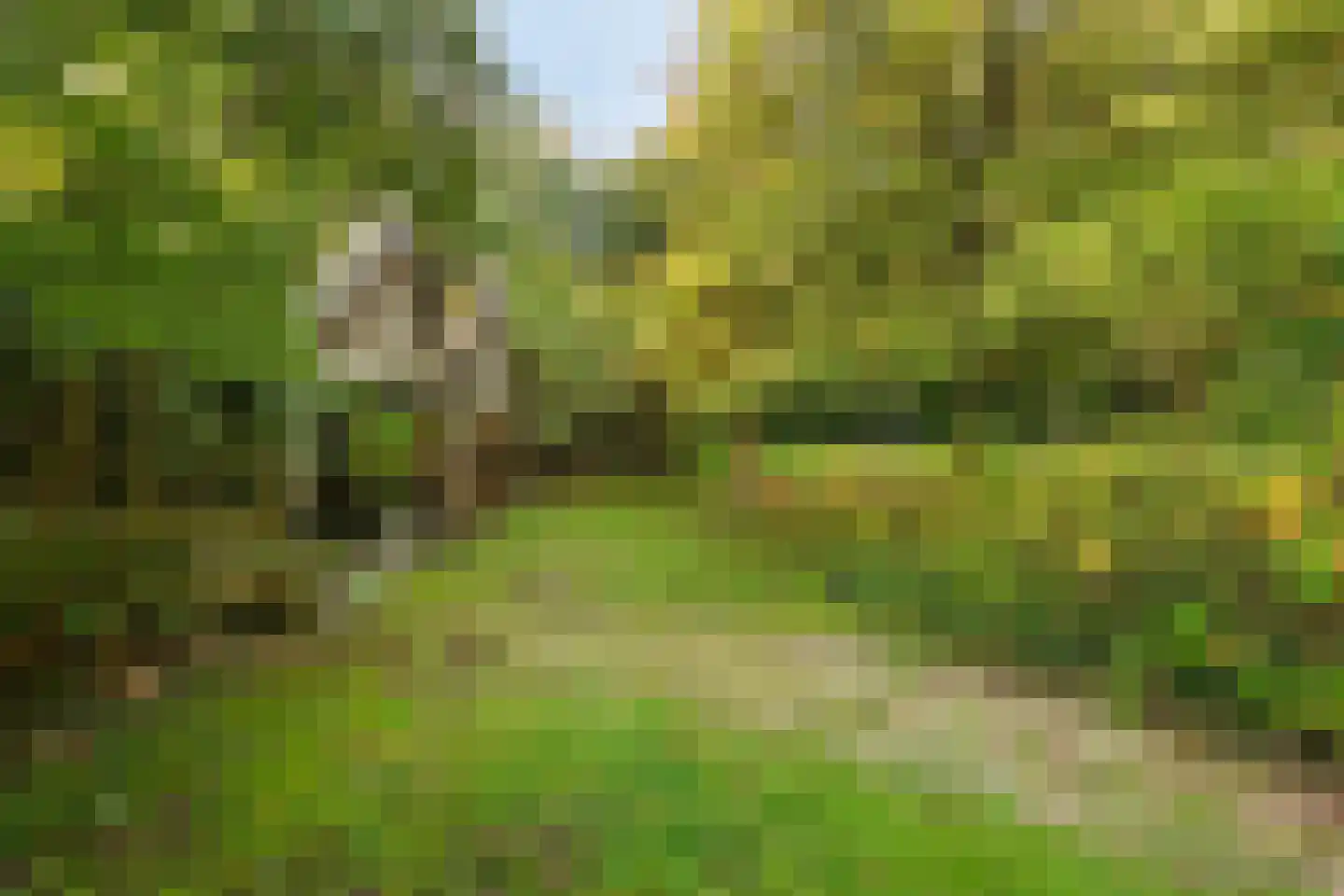 Groteweg 37 Wapenveld thumbnail 43