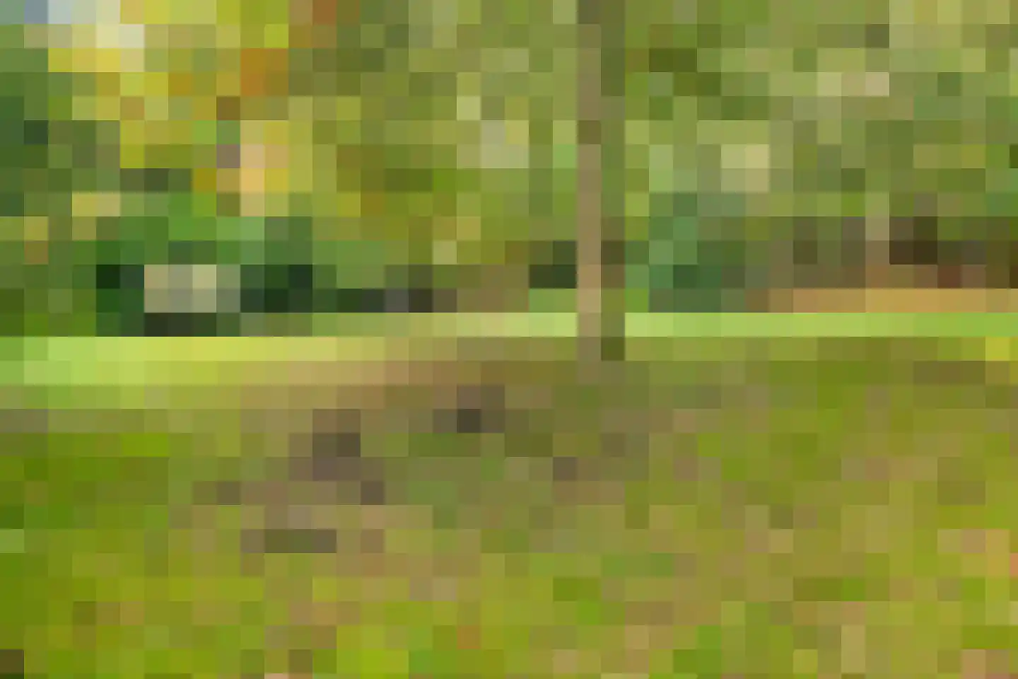 Groteweg 37 Wapenveld thumbnail 45