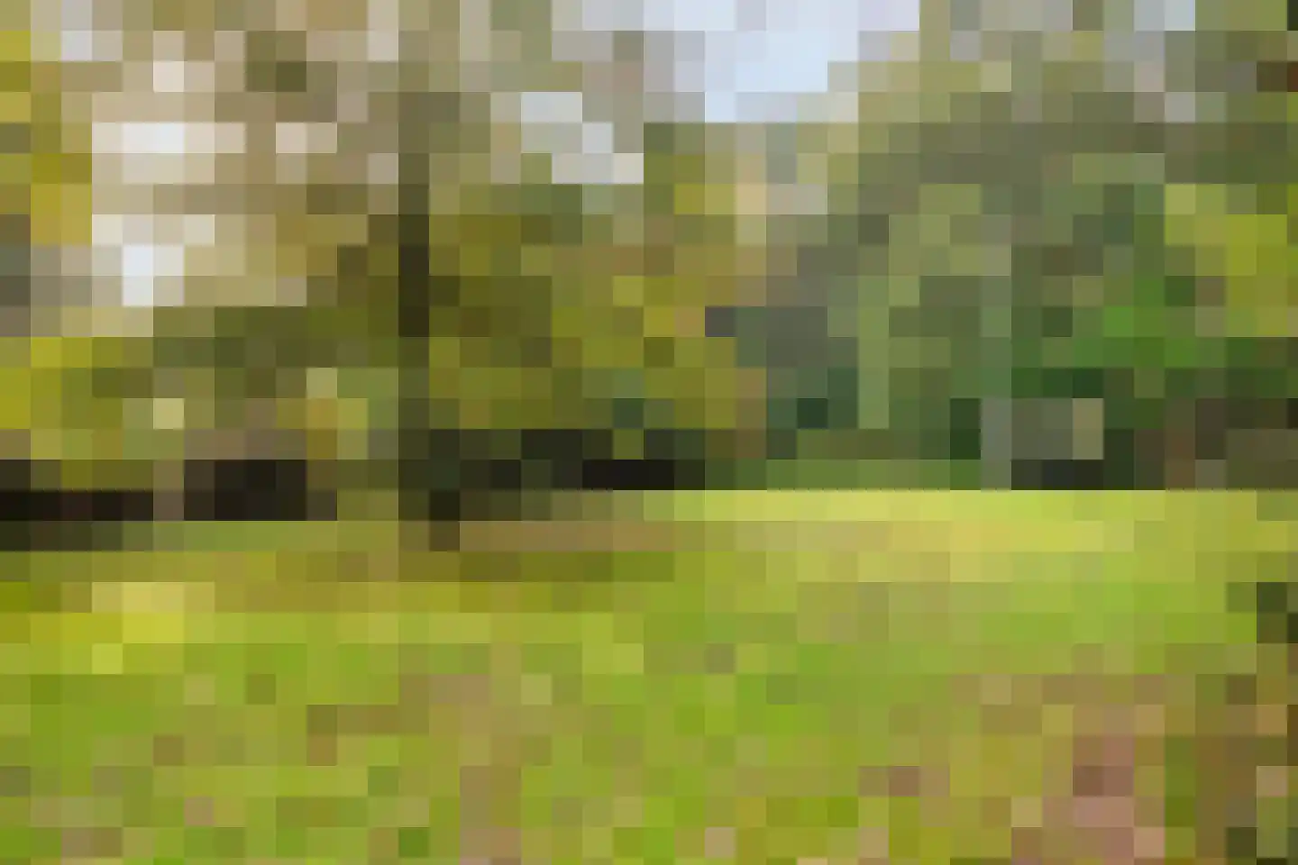 Groteweg 37 Wapenveld thumbnail 46