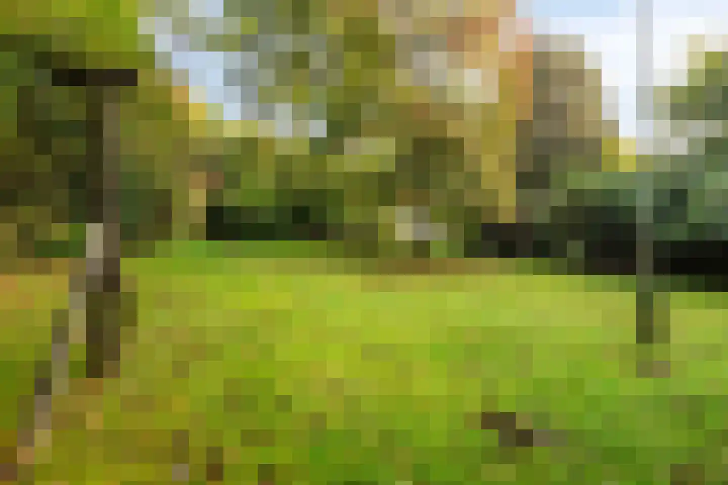 Groteweg 37 Wapenveld thumbnail 47