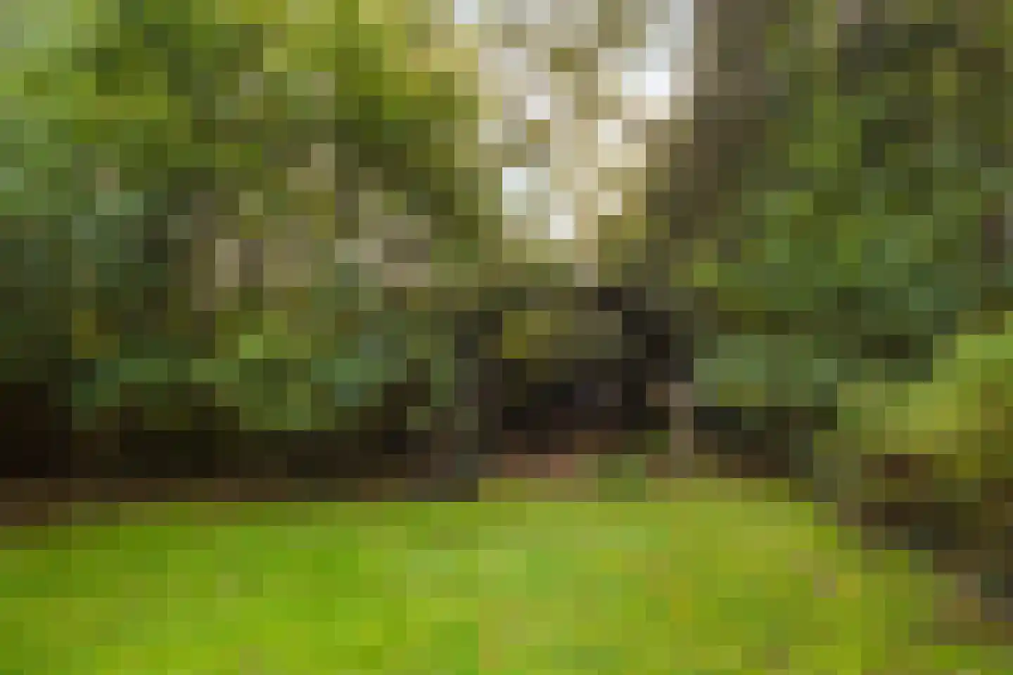Groteweg 37 Wapenveld thumbnail 48
