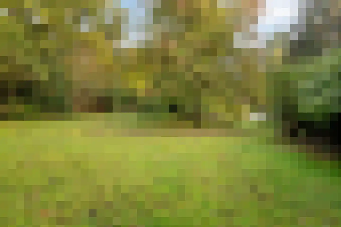 Groteweg 37 Wapenveld thumbnail 49