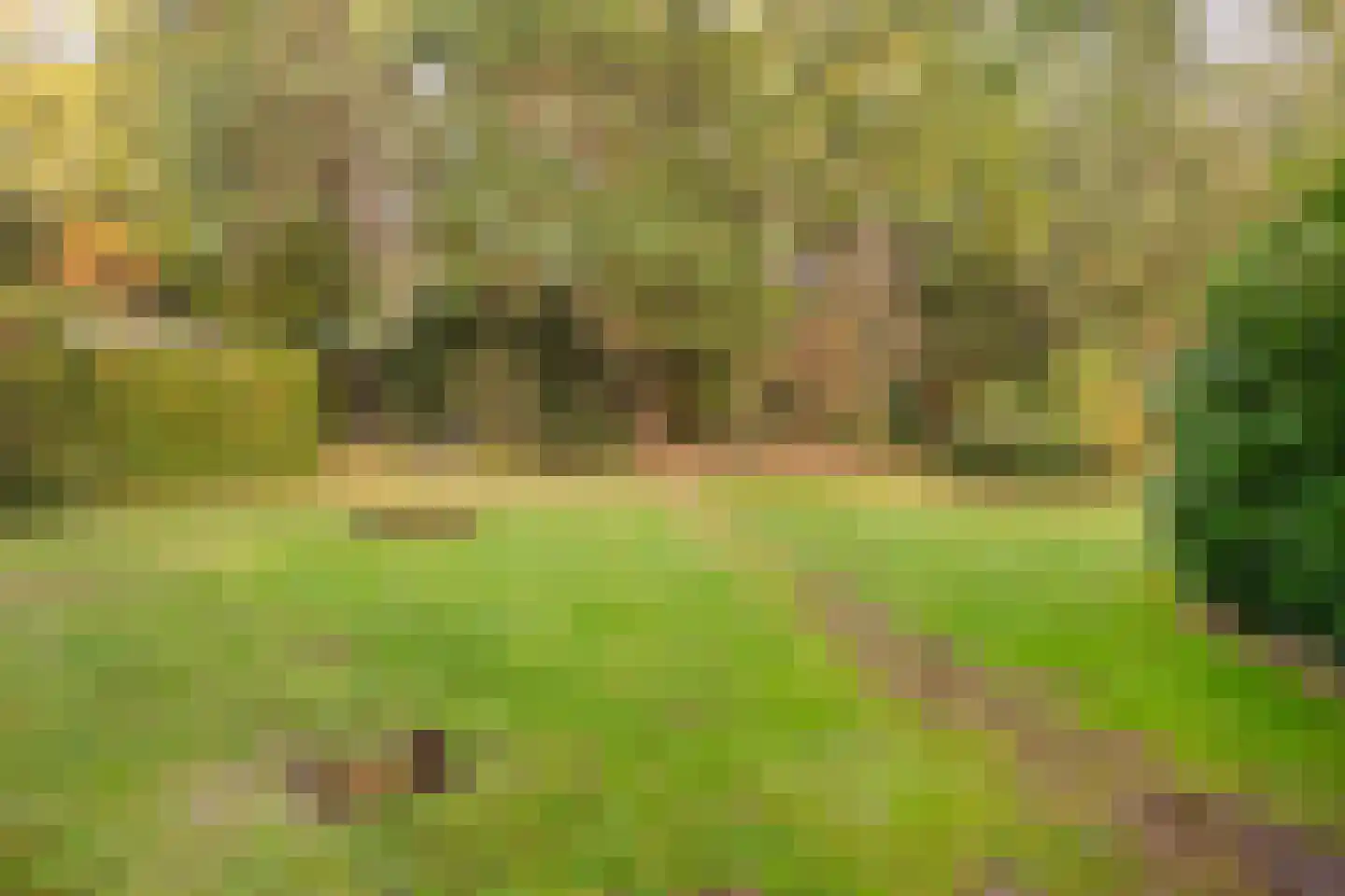 Groteweg 37 Wapenveld thumbnail 50