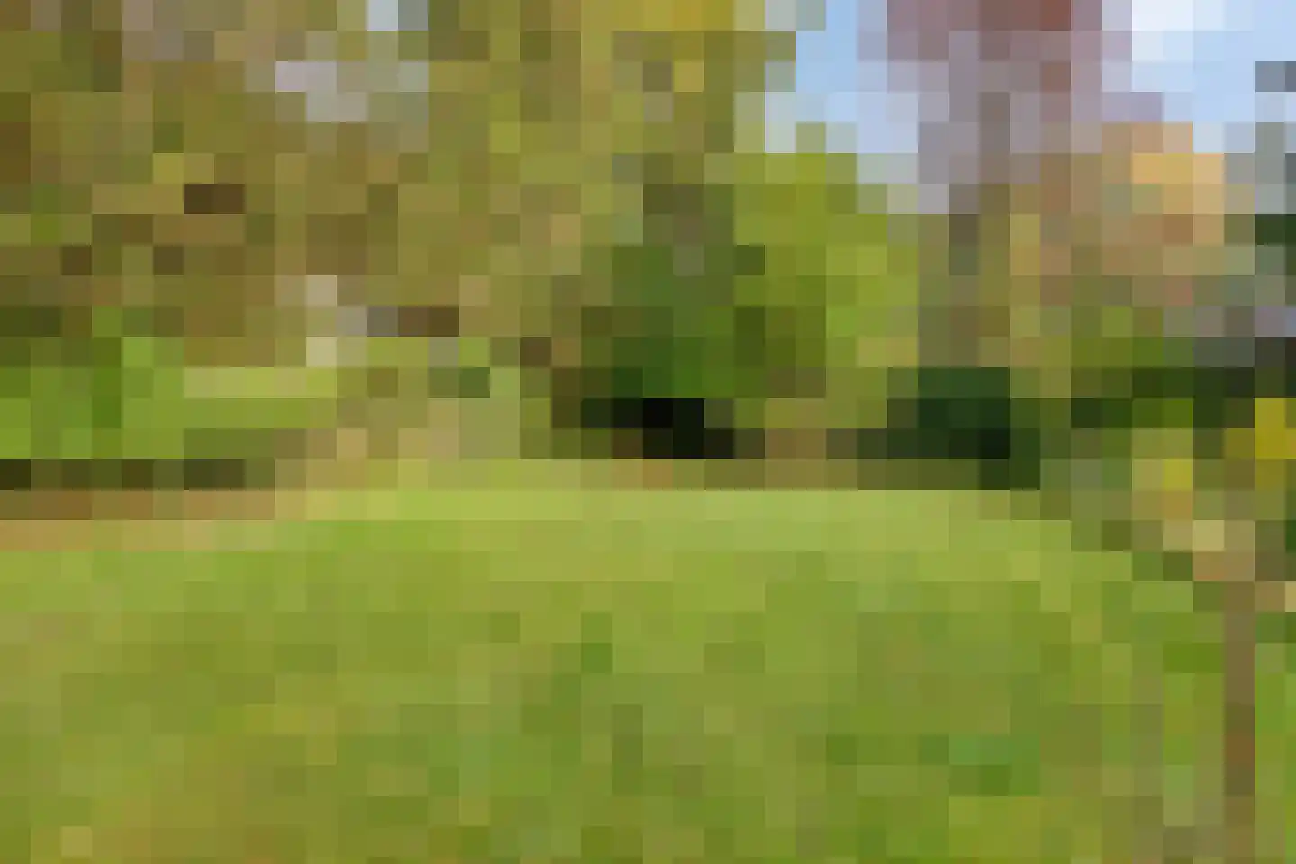 Groteweg 37 Wapenveld thumbnail 54