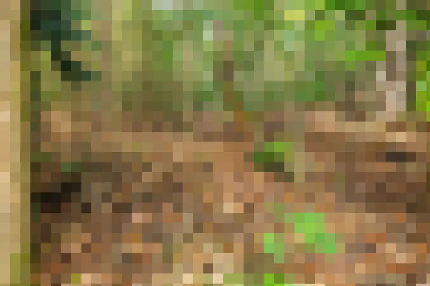 Groteweg 37 Wapenveld thumbnail 55