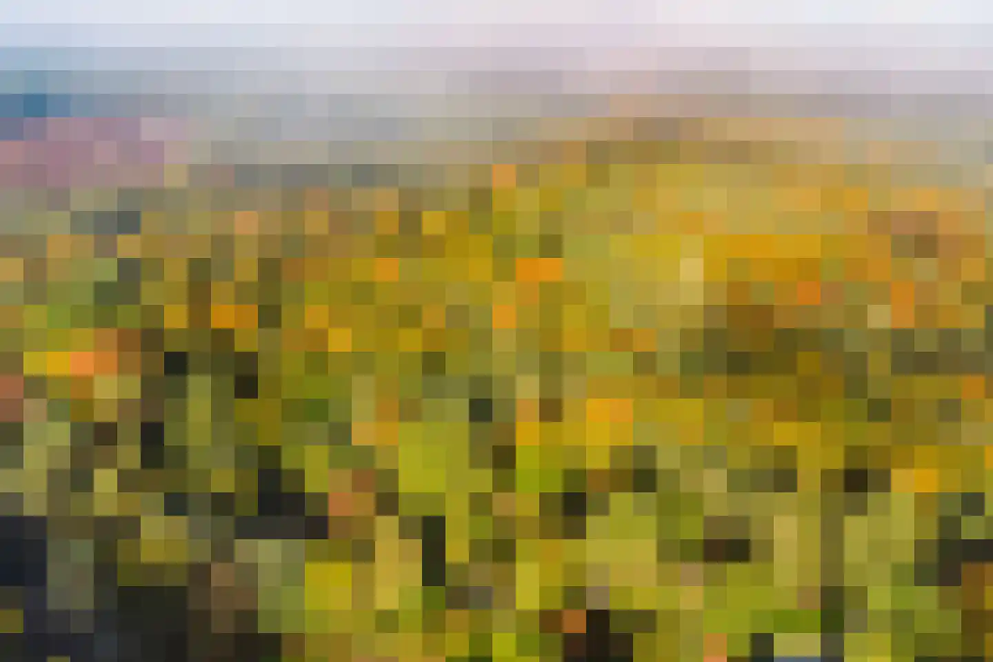 Groteweg 37 Wapenveld thumbnail 56