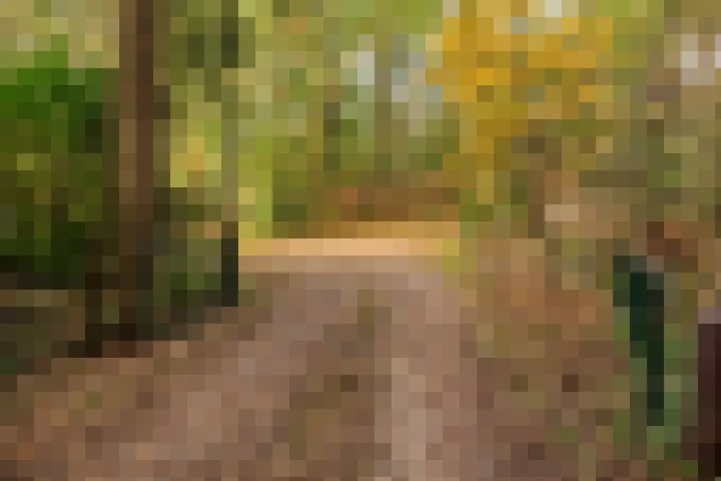 Groteweg 37 Wapenveld thumbnail 57