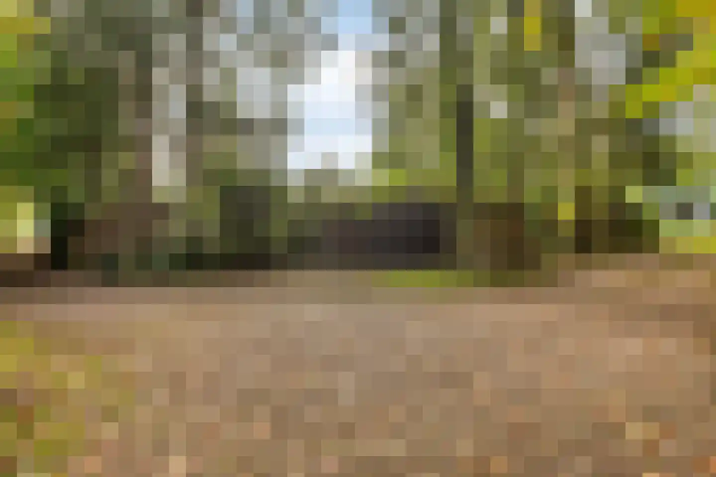 Groteweg 37 Wapenveld thumbnail 58