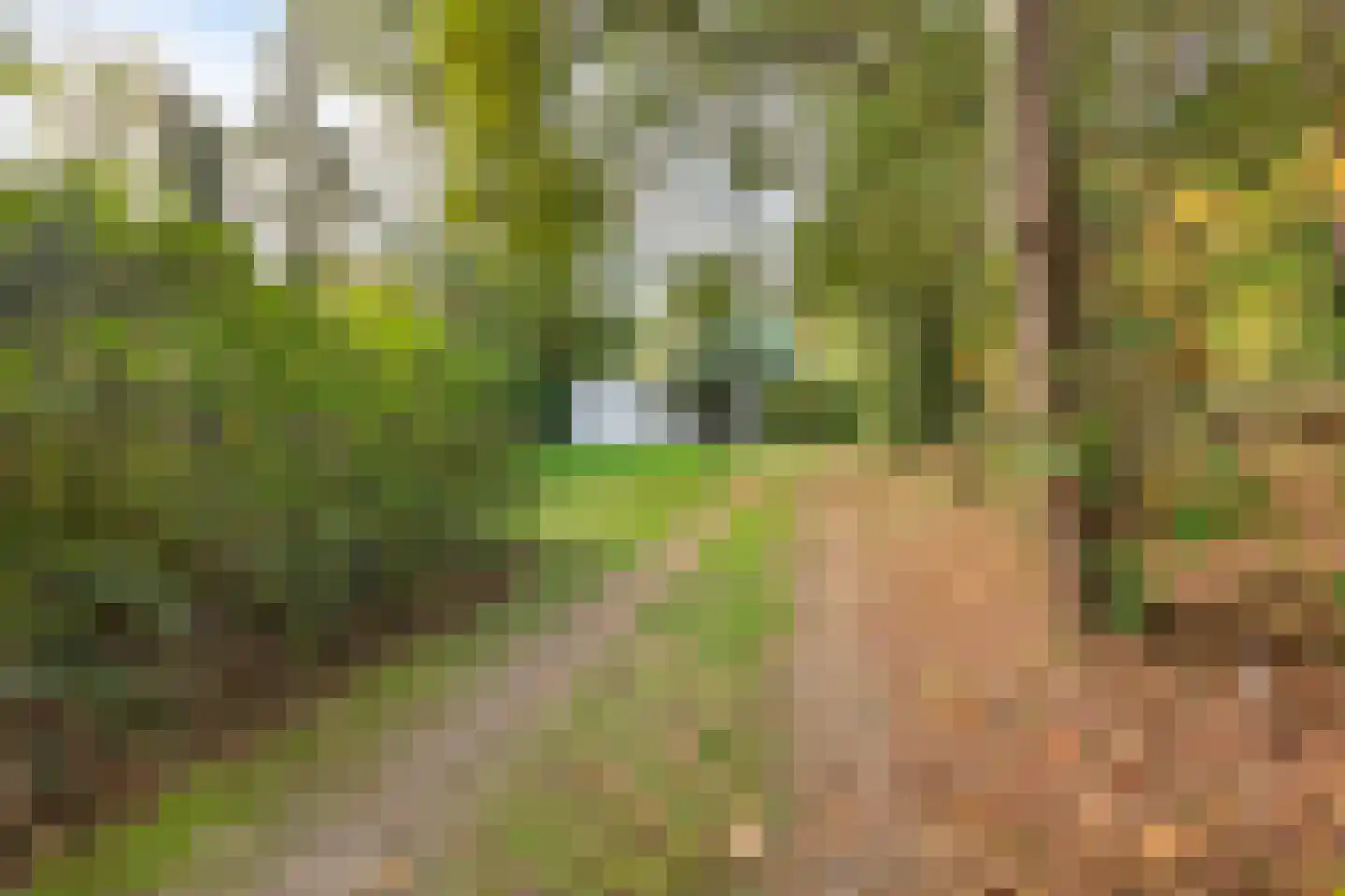 Groteweg 37 Wapenveld thumbnail 59
