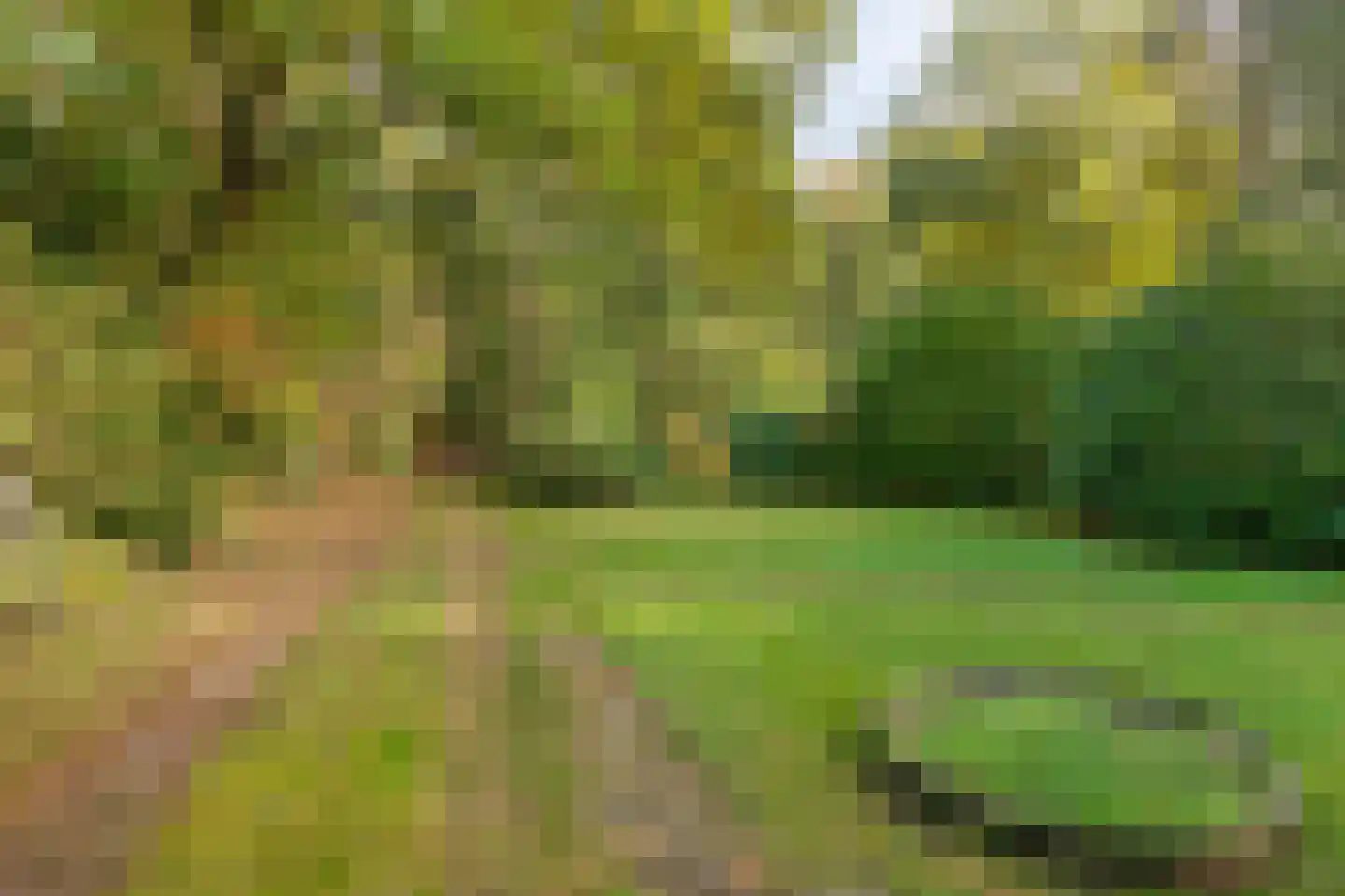 Groteweg 37 Wapenveld thumbnail 60