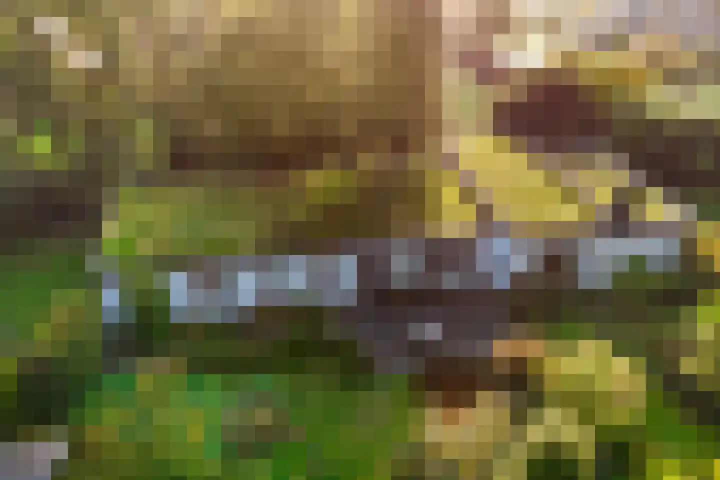 Groteweg 37 Wapenveld thumbnail 61