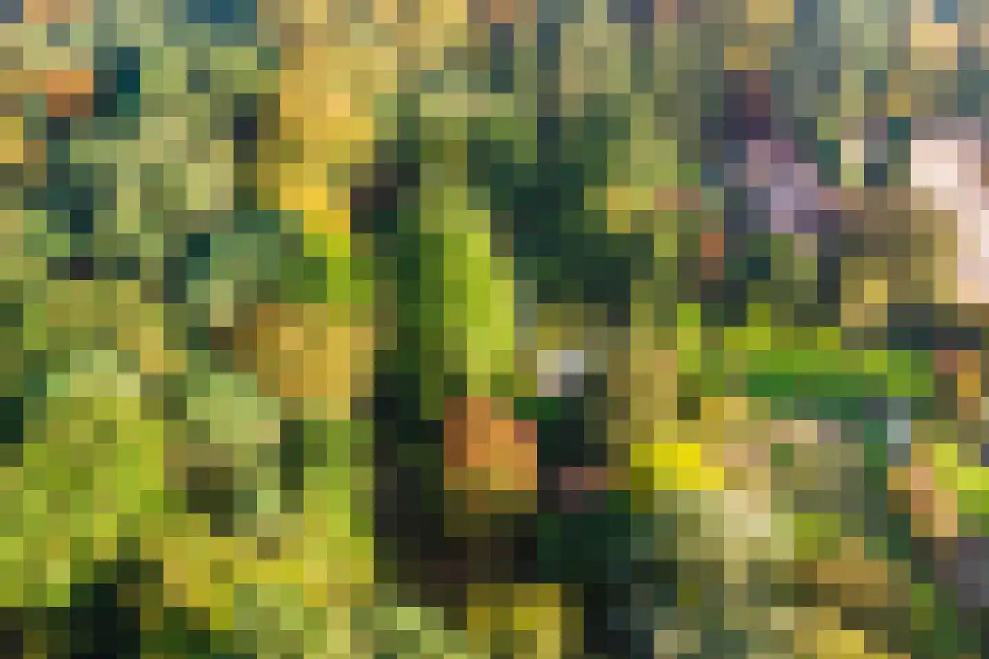 Groteweg 37 Wapenveld thumbnail 62