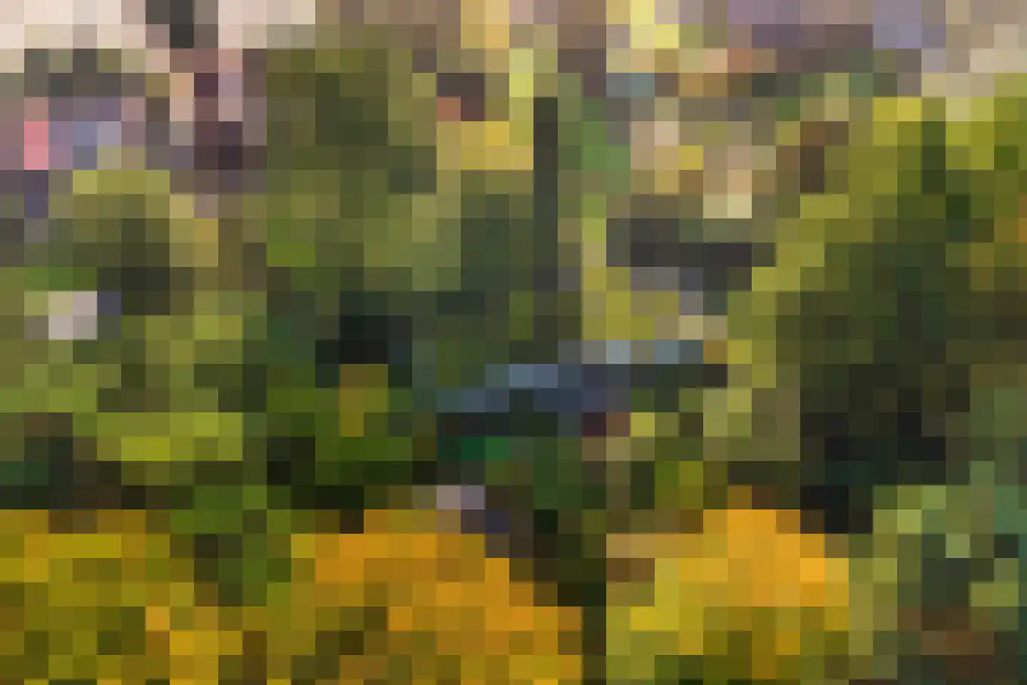 Groteweg 37 Wapenveld thumbnail 63