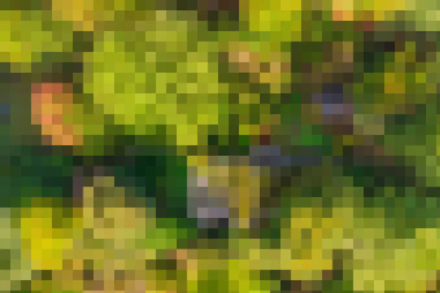 Groteweg 37 Wapenveld thumbnail 64