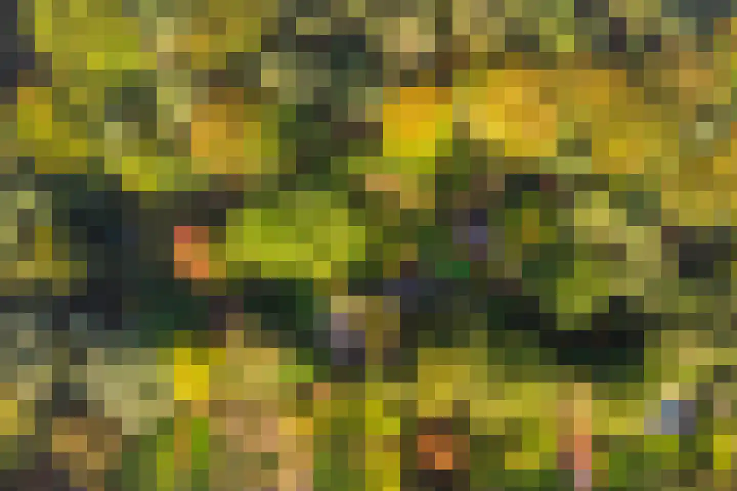 Groteweg 37 Wapenveld thumbnail 65