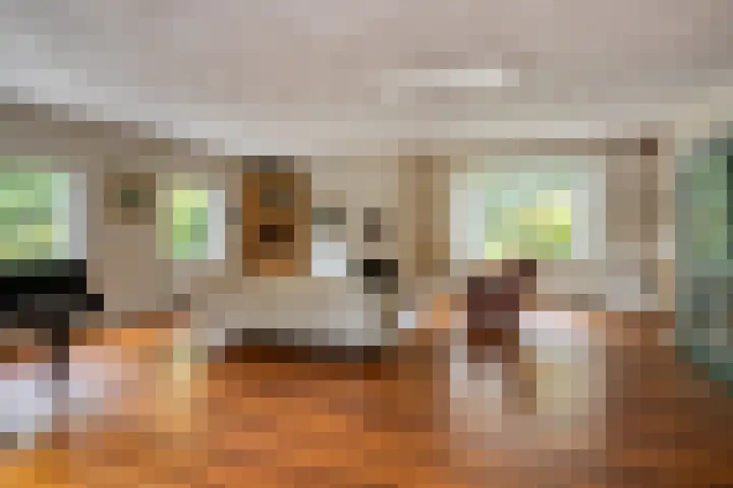 Groteweg 37 Wapenveld thumbnail 9