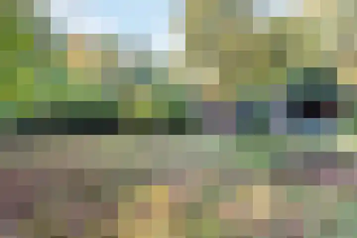 Groteweg 57 Wapenveld thumbnail 11