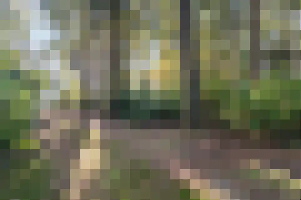 Groteweg 57 Wapenveld thumbnail 4