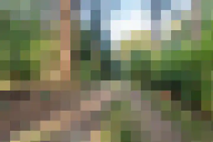 Groteweg 57 Wapenveld thumbnail 4