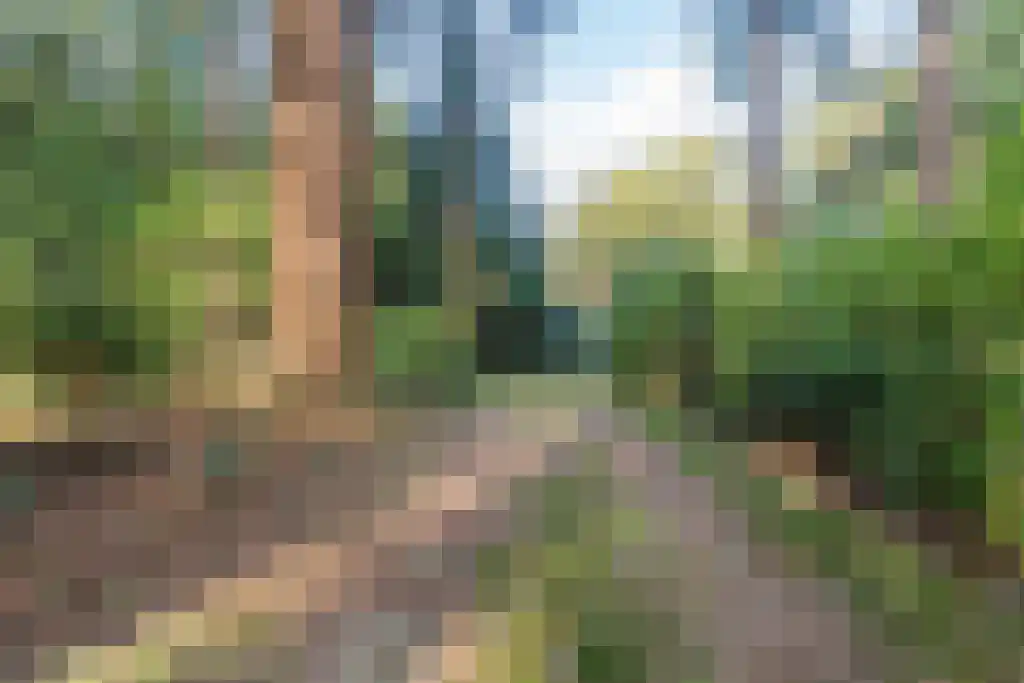 Groteweg 57 Wapenveld thumbnail 5