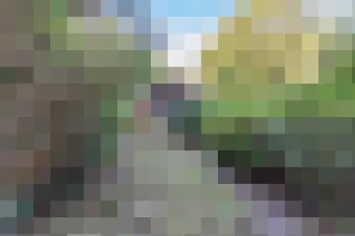 Groteweg 57 Wapenveld thumbnail 6