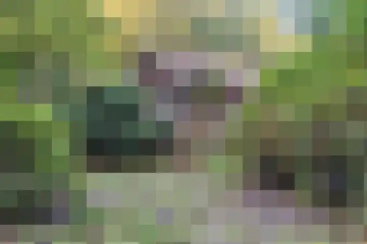 Groteweg 57 Wapenveld thumbnail 7