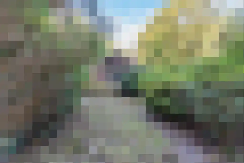 Groteweg 57 Wapenveld thumbnail 7