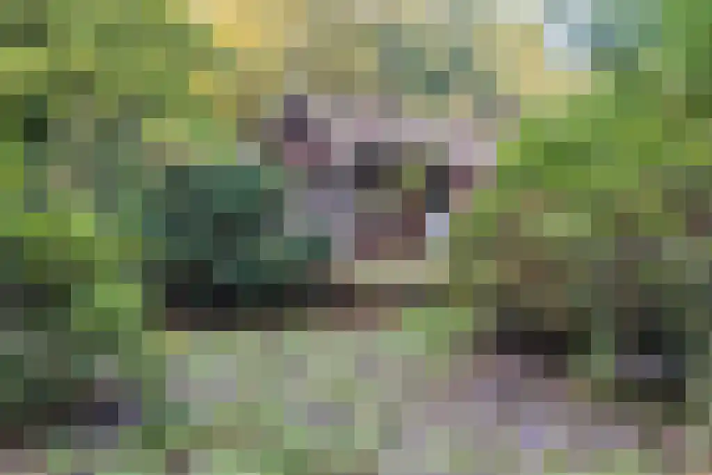Groteweg 57 Wapenveld thumbnail 8