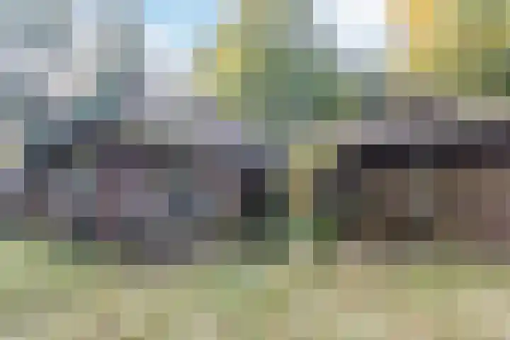 Groteweg 57 Wapenveld thumbnail 9