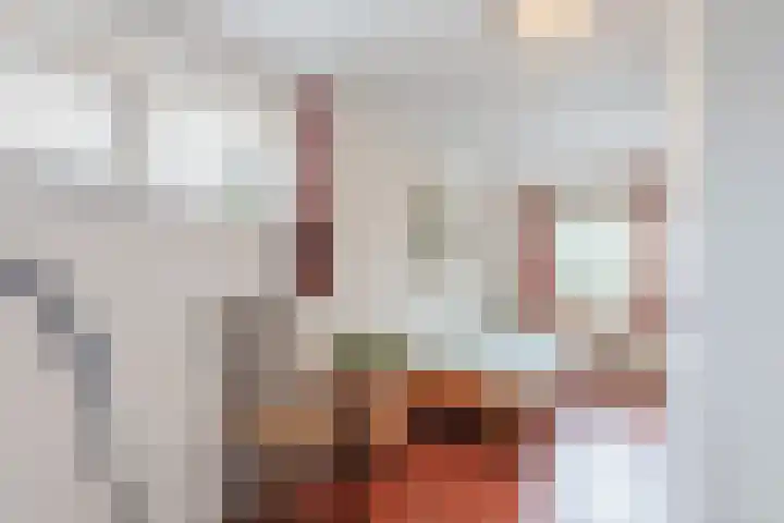 Groteweg 73 a Wapenveld thumbnail 28