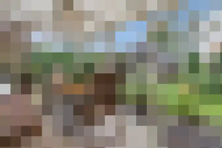 Groteweg 73 a Wapenveld thumbnail 37