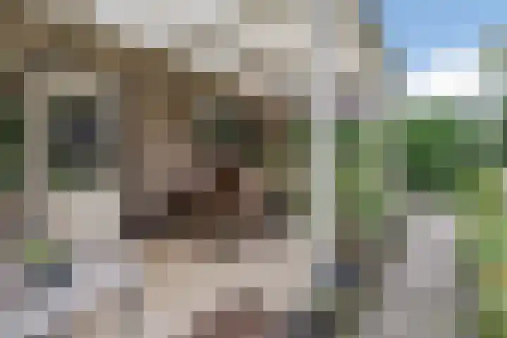 Groteweg 73 a Wapenveld thumbnail 38