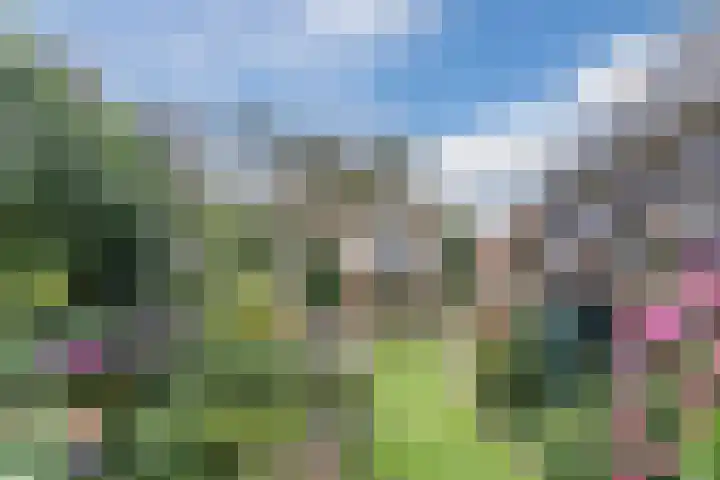 Groteweg 73 a Wapenveld thumbnail 40