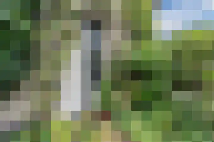 Groteweg 73 a Wapenveld thumbnail 41