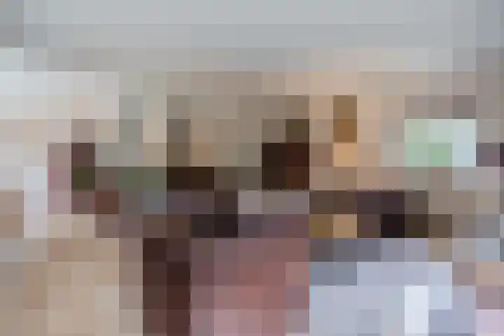 Groteweg 73 a Wapenveld thumbnail 5