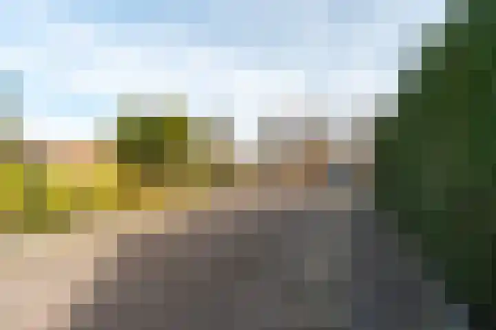 Groteweid 11 Andijk thumbnail 10