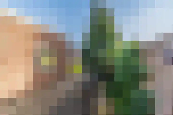Groteweid 11 Andijk thumbnail 11