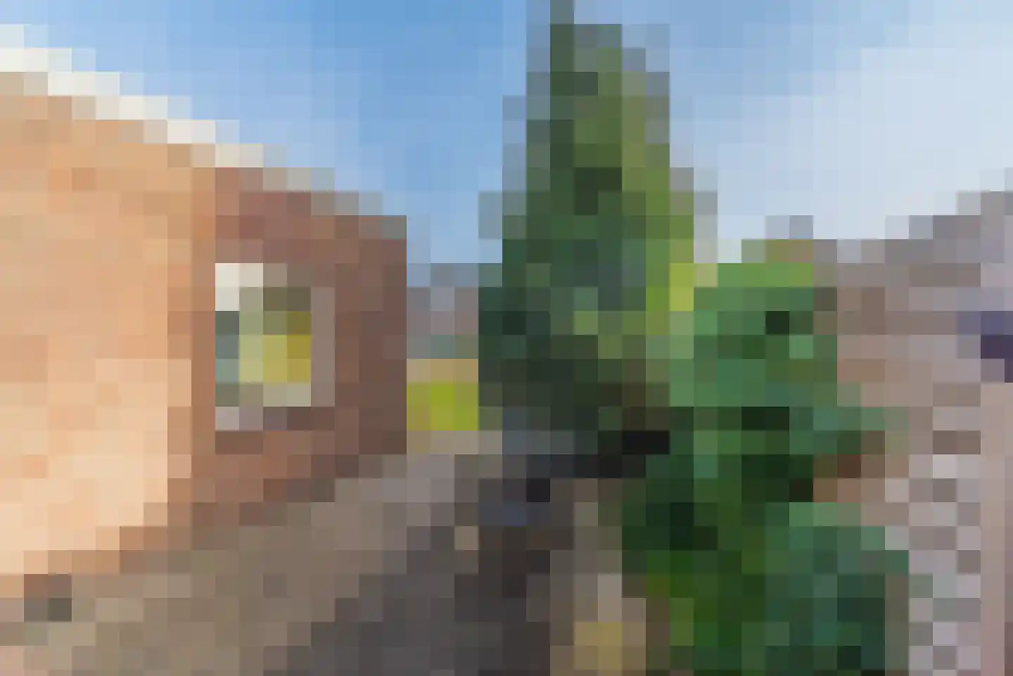 Groteweid 11 Andijk thumbnail 11