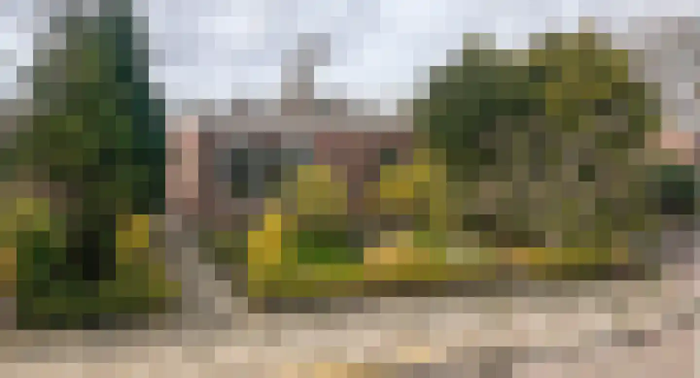 Groteweid 11 Andijk foto 2