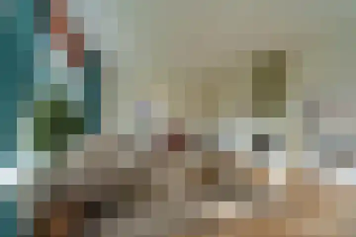 Groteweid 11 Andijk thumbnail 21