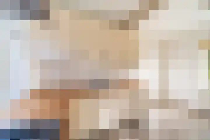 Groteweid 11 Andijk thumbnail 27