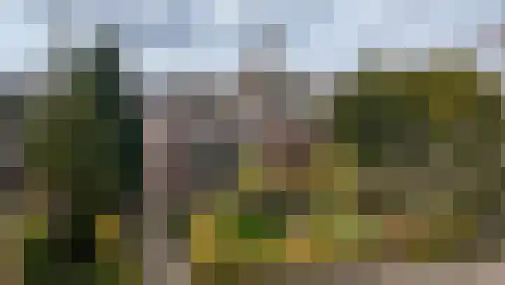 Groteweid 11 Andijk foto 3
