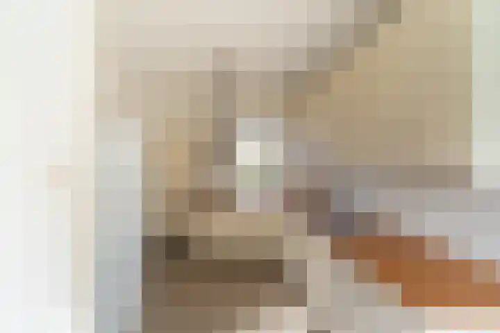 Groteweid 11 Andijk thumbnail 30