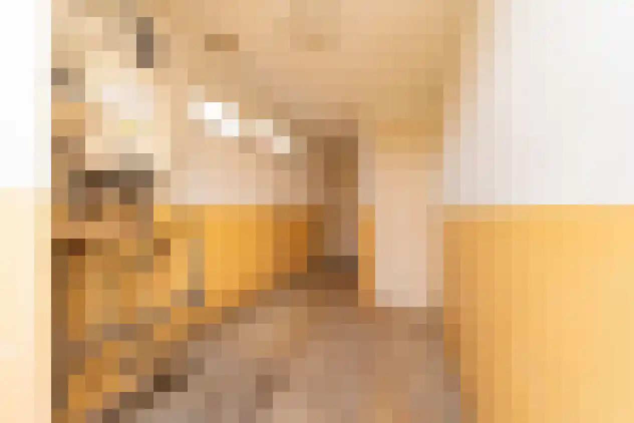 Groteweid 11 Andijk thumbnail 39