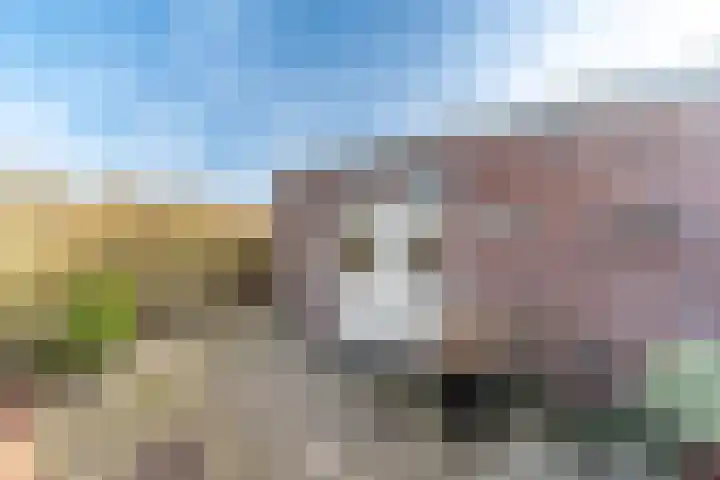 Groteweid 11 Andijk thumbnail 45